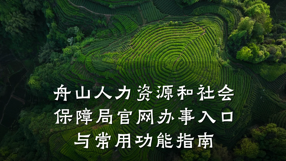 舟山人力资源和社会保障局官网办事入口与常用功能指南