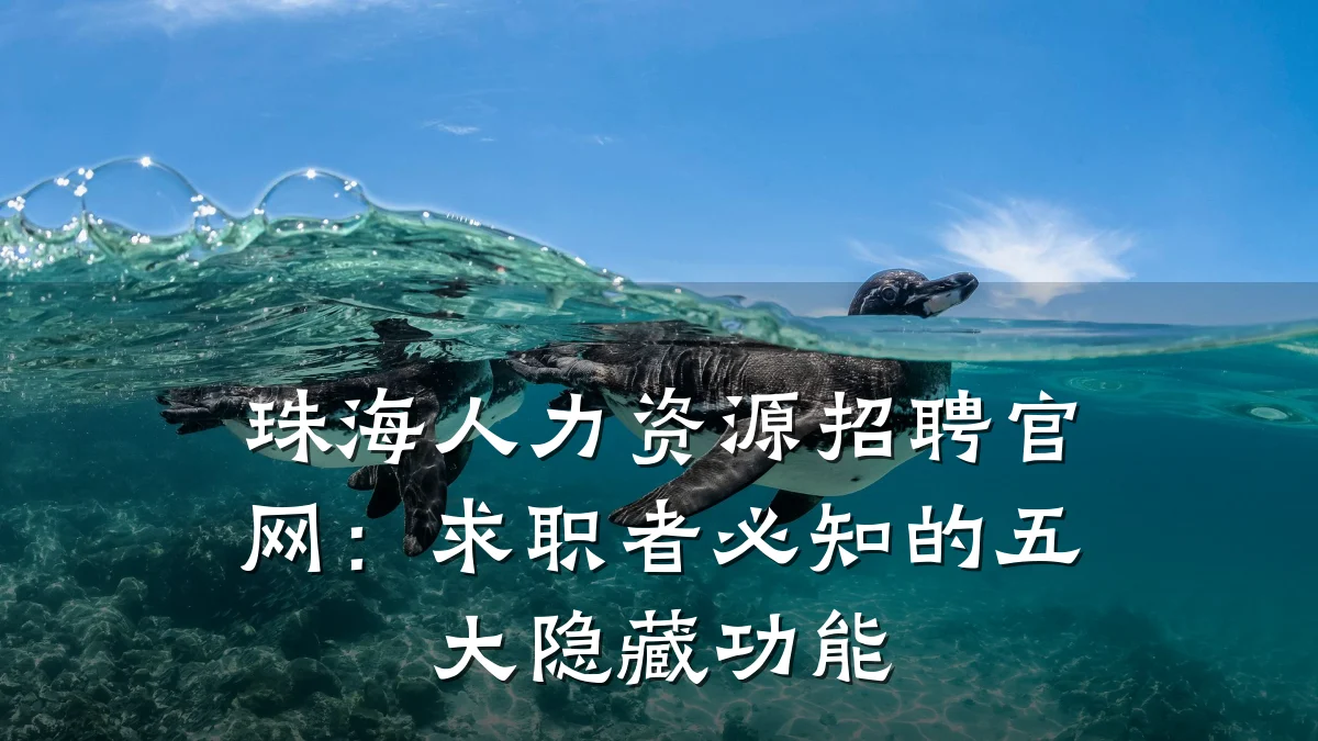 珠海人力资源招聘官网：求职者必知的五大隐藏功能