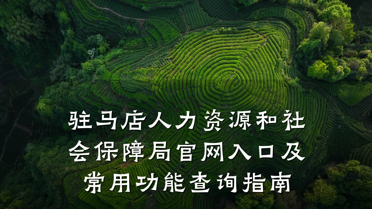驻马店人力资源和社会保障局官网入口及常用功能查询指南