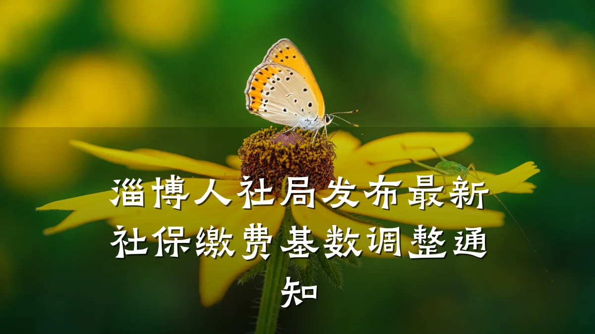淄博人社局发布最新社保缴费基数调整通知