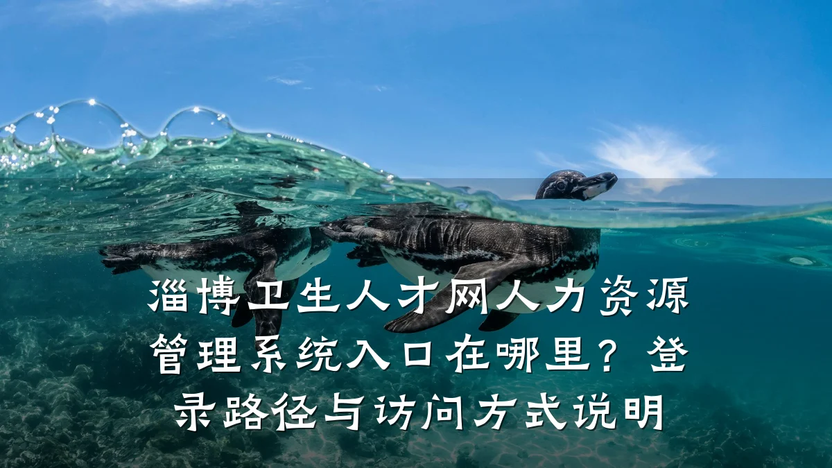 淄博卫生人才网人力资源管理系统入口在哪里?登录路径与访问方式说明