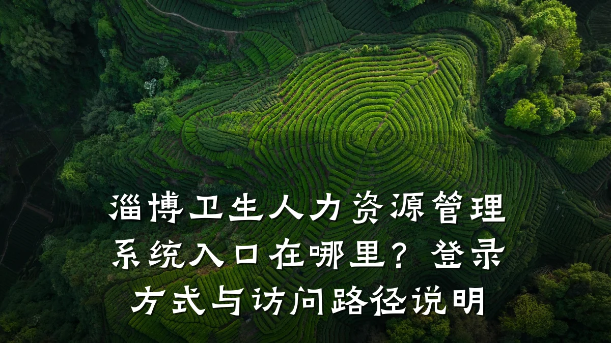 淄博卫生人力资源管理系统入口在哪里?登录方式与访问路径说明