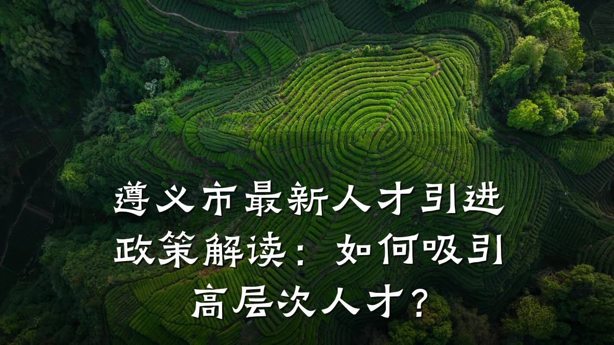 遵义市最新人才引进政策解读:如何吸引高层次人才?