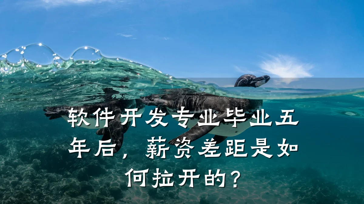 软件开发专业毕业五年后,薪资差距是如何拉开的?