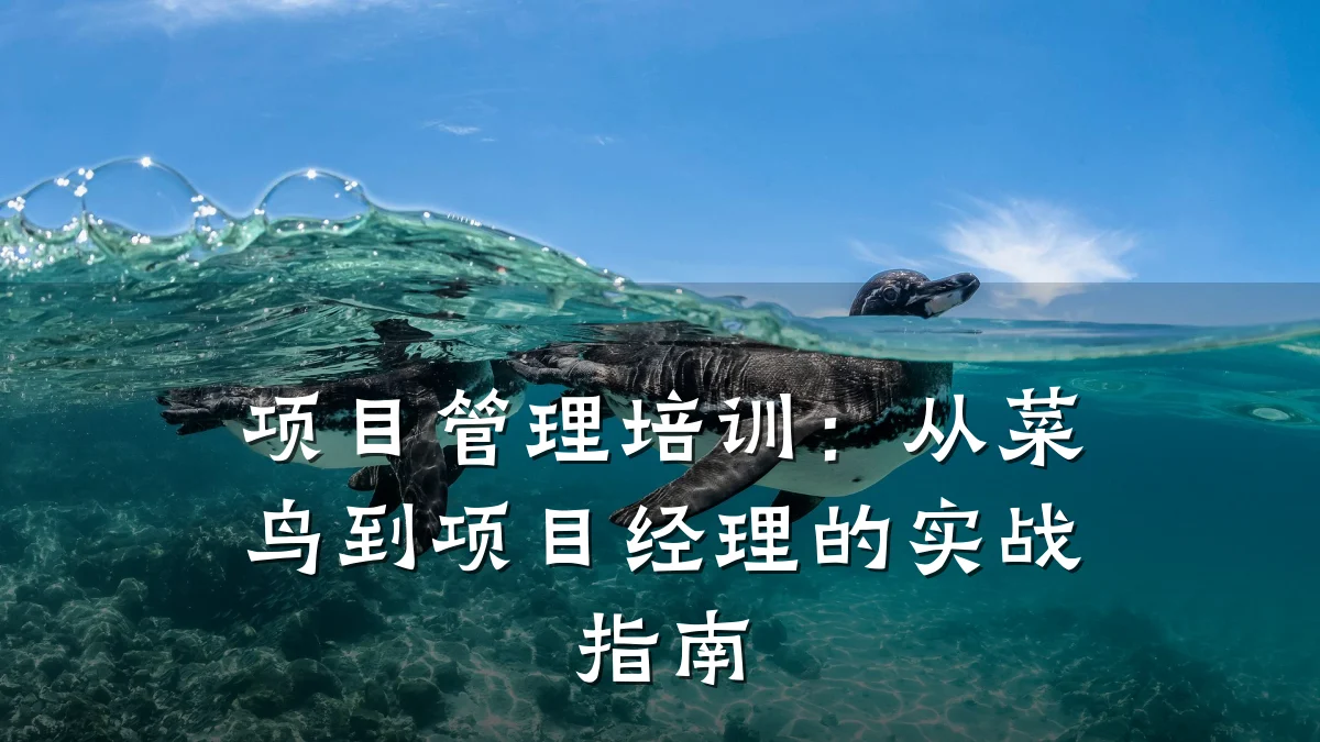 项目管理培训:从菜鸟到项目经理的实战指南