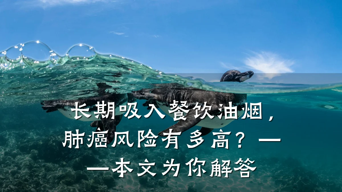 长期吸入餐饮油烟，肺癌风险有多高？——本文为你解答