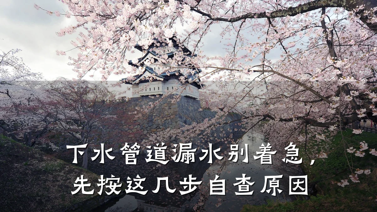 下水管道漏水别着急,先按这几步自查原因