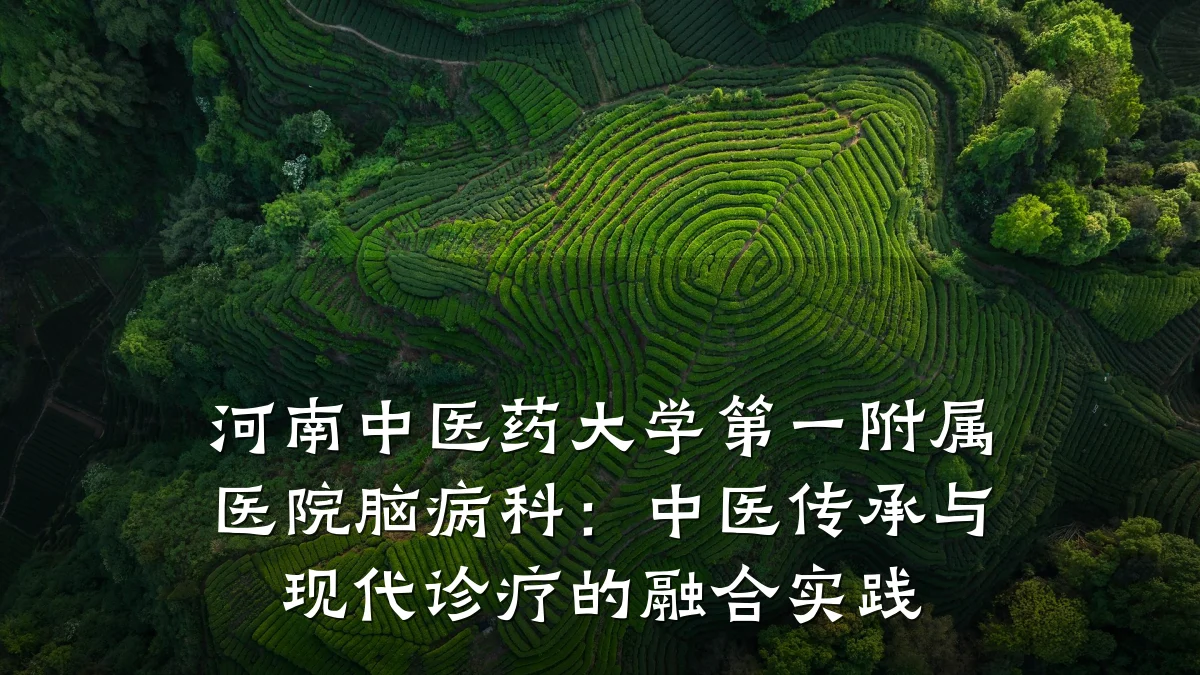 河南中医药大学第一附属医院脑病科:中医传承与现代诊疗的融合实践