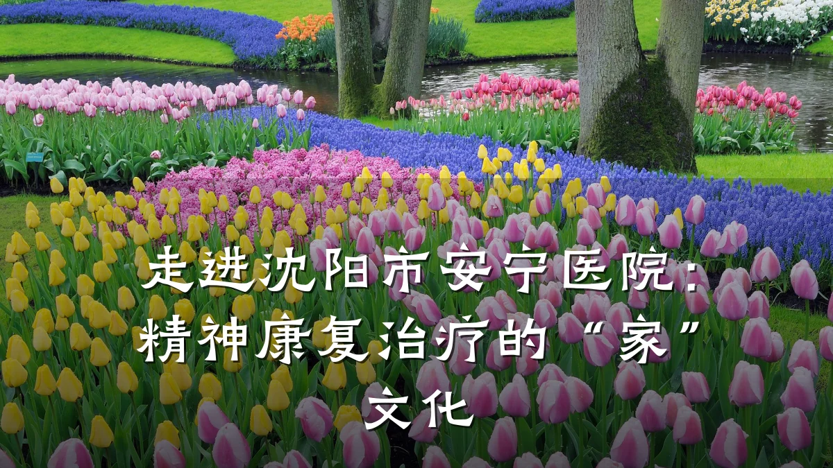 走进沈阳市安宁医院:精神康复治疗的“家”文化
