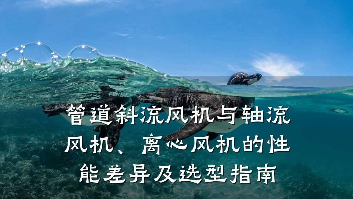 管道斜流风机与轴流风机、离心风机的性能差异及选型指南