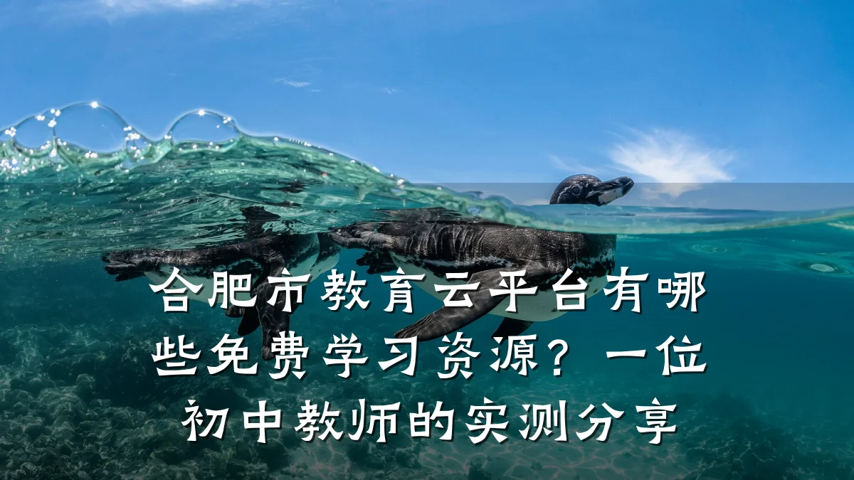合肥市教育云平台有哪些免费学习资源？一位初中教师的实测分享