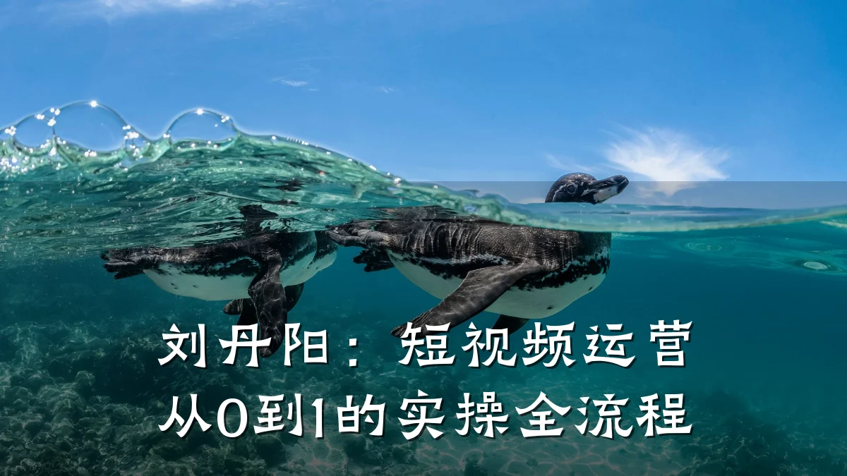 刘丹阳：短视频运营从0到1的实操全流程