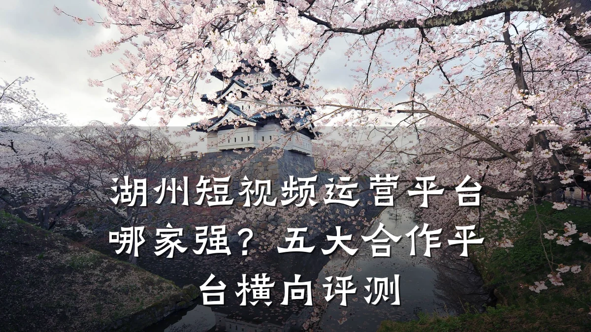 湖州短视频运营平台哪家强？五大合作平台横向评测