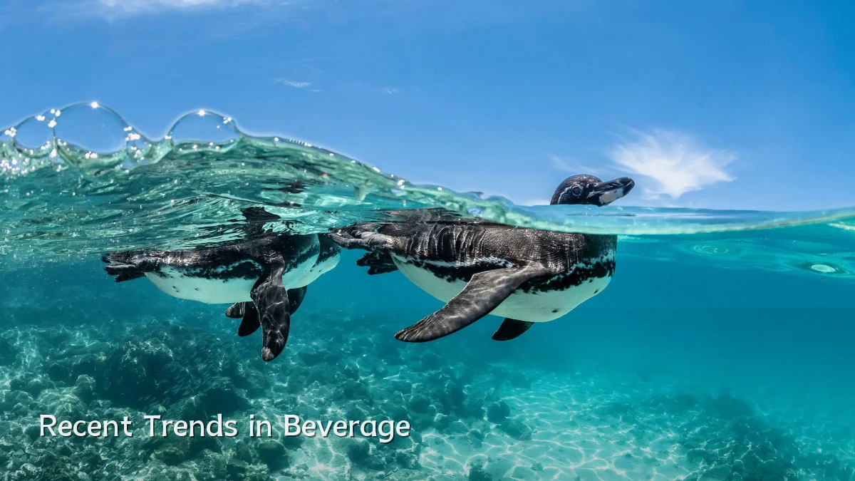 Recent Trends in Beverage