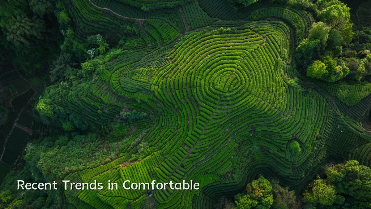 Recent Trends in Comfortable