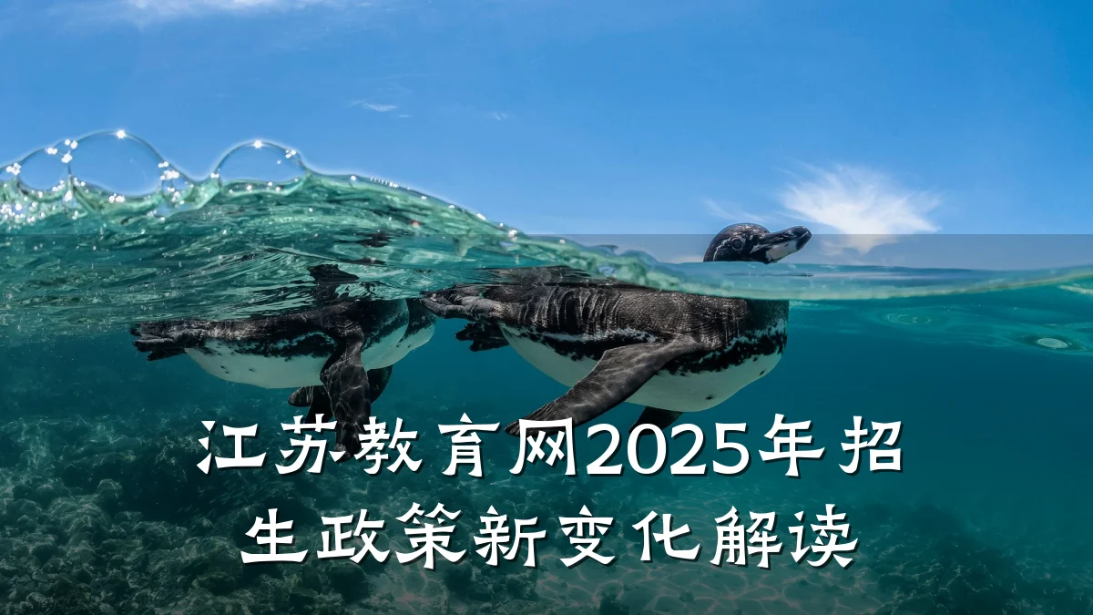 江苏教育网2025年招生政策新变化解读
