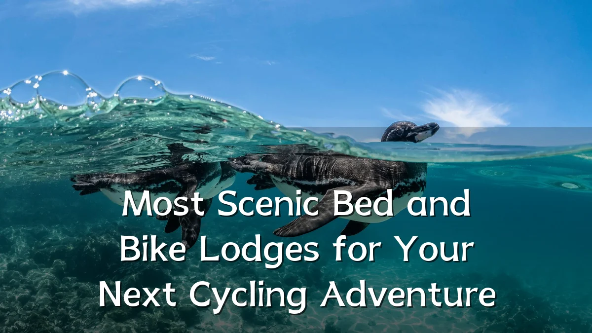 Most Scenic Bed and Bike Lodges for Your Next Cycling Adventure