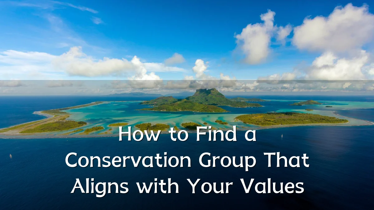 How to Find a Conservation Group That Aligns with Your Values