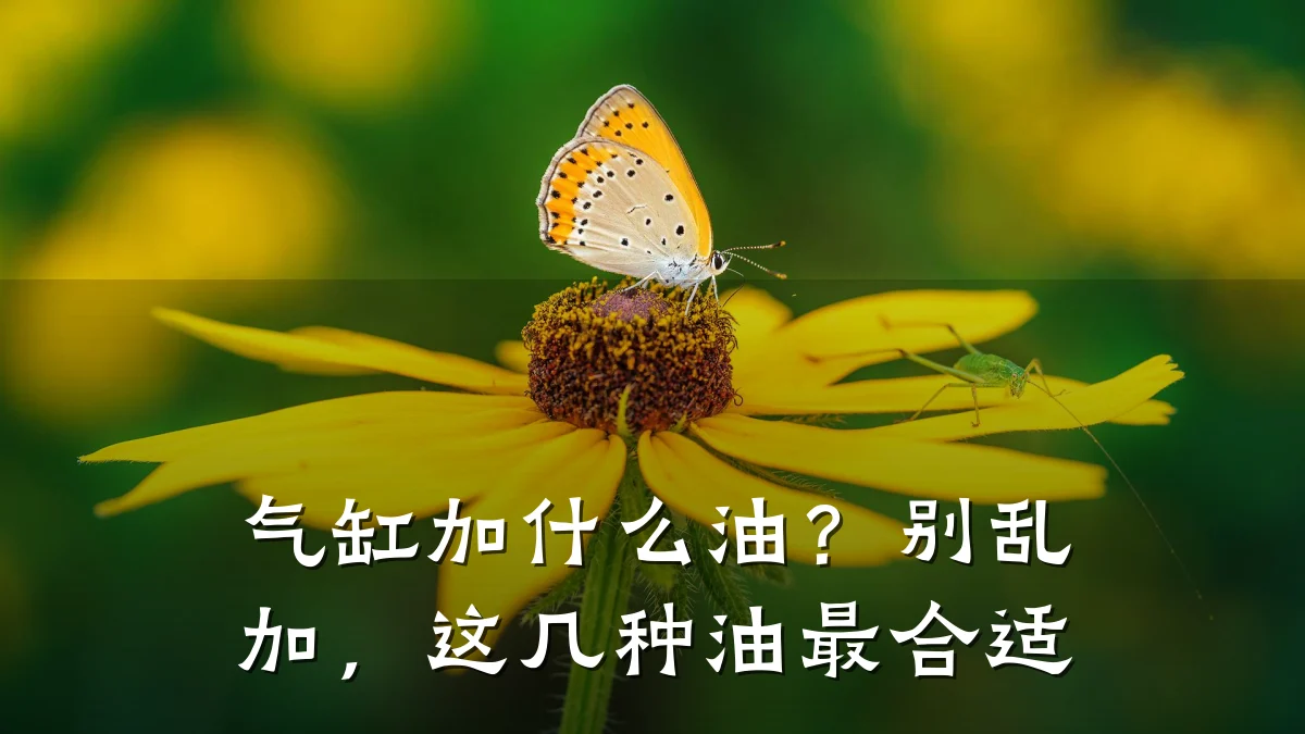 气缸加什么油?别乱加,这几种油最合适