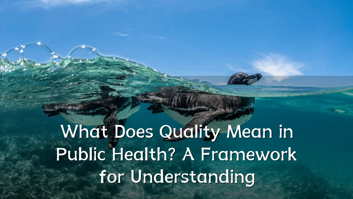 What Does Quality Mean in Public Health? A Framework for Understanding