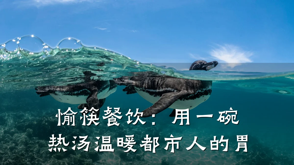 愉筷餐饮:用一碗热汤温暖都市人的胃