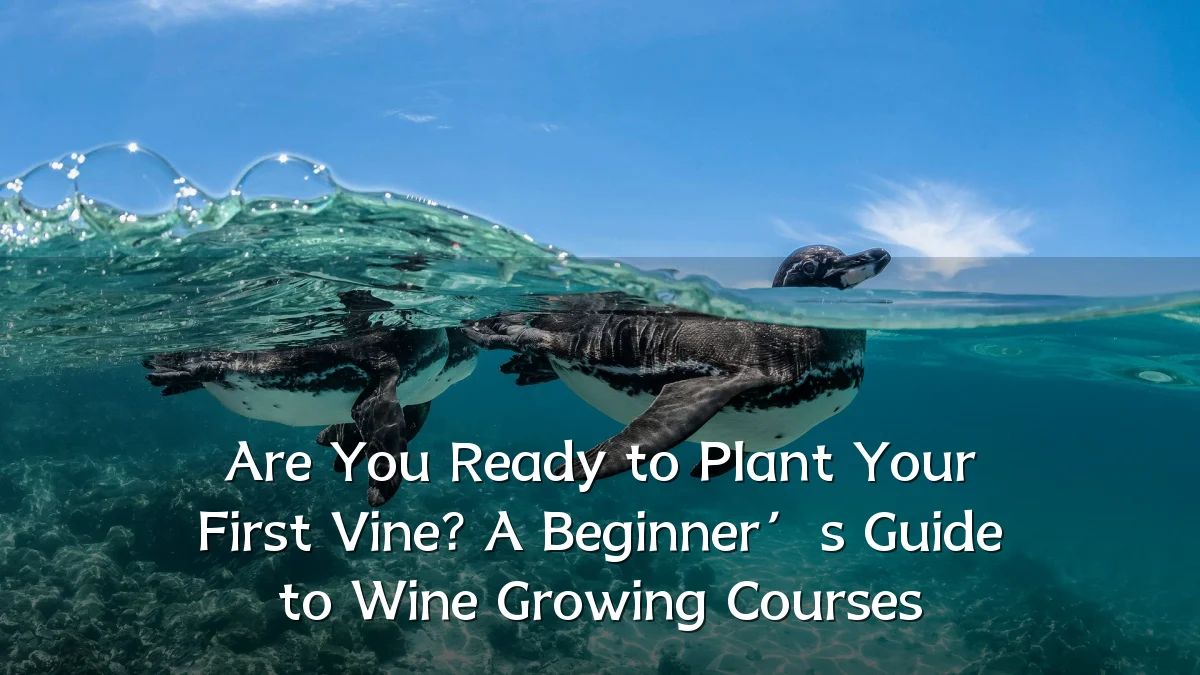 Are You Ready to Plant Your First Vine? A Beginner’s Guide to Wine Growing Courses