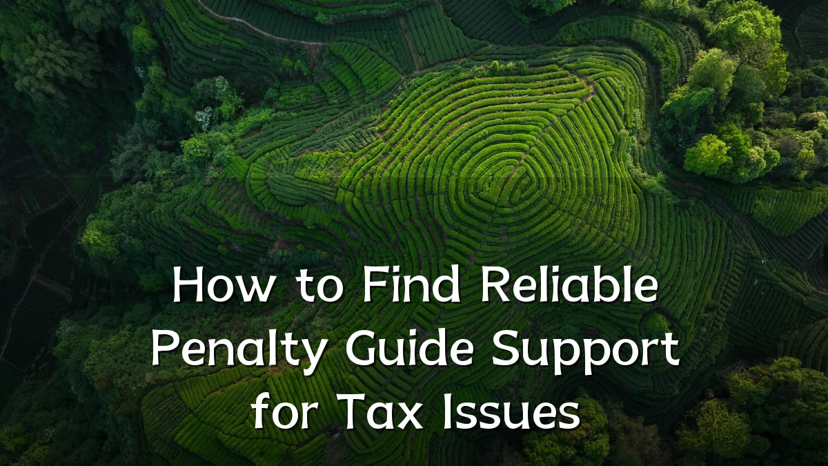 How to Find Reliable Penalty Guide Support for Tax Issues