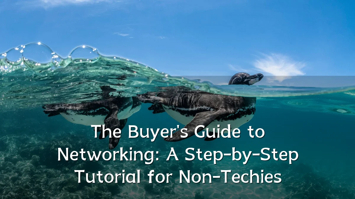 The Buyer's Guide to Networking: A Step-by-Step Tutorial for Non-Techies