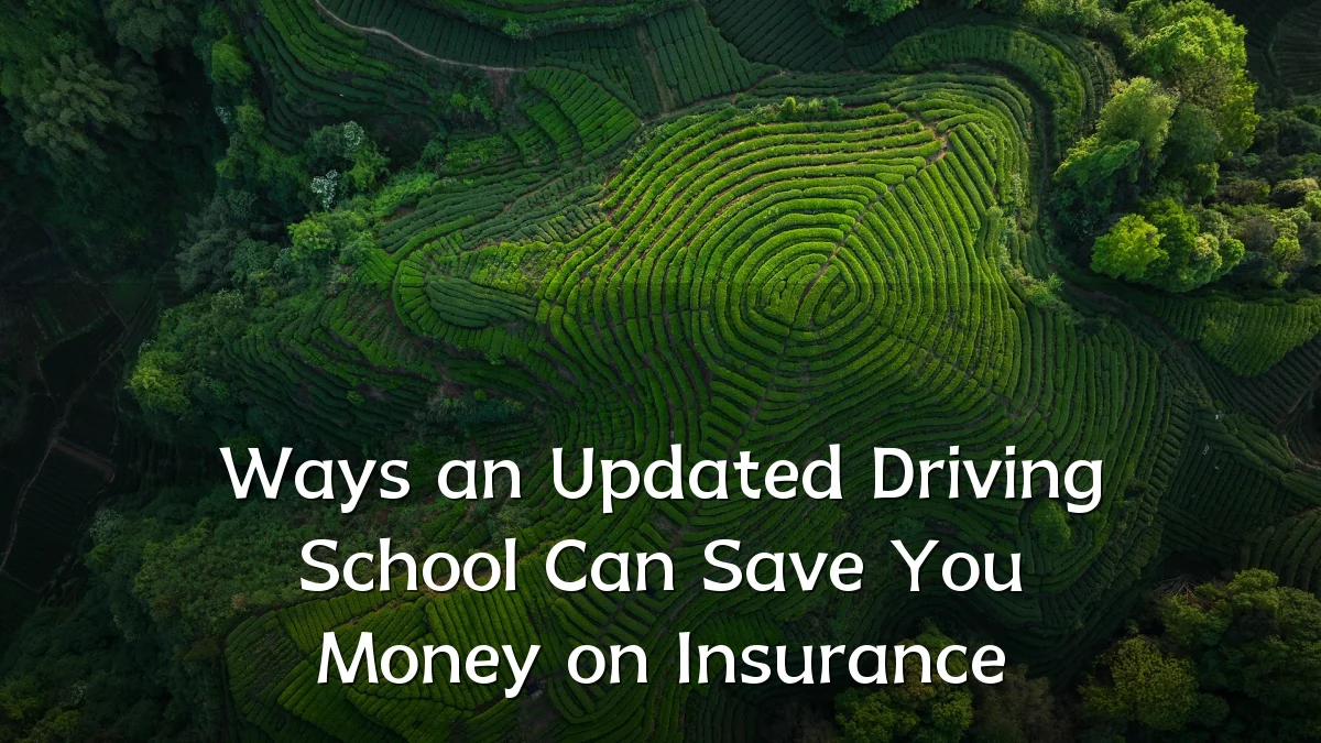 Ways an Updated Driving School Can Save You Money on Insurance