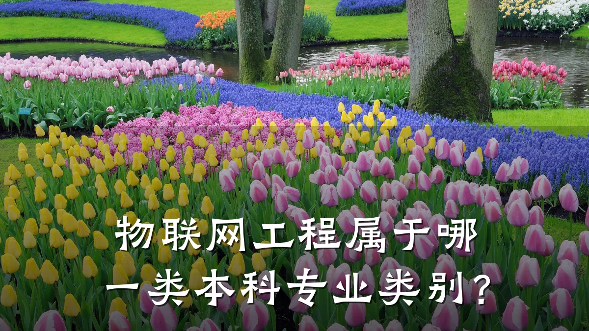 物联网工程属于哪一类本科专业类别?