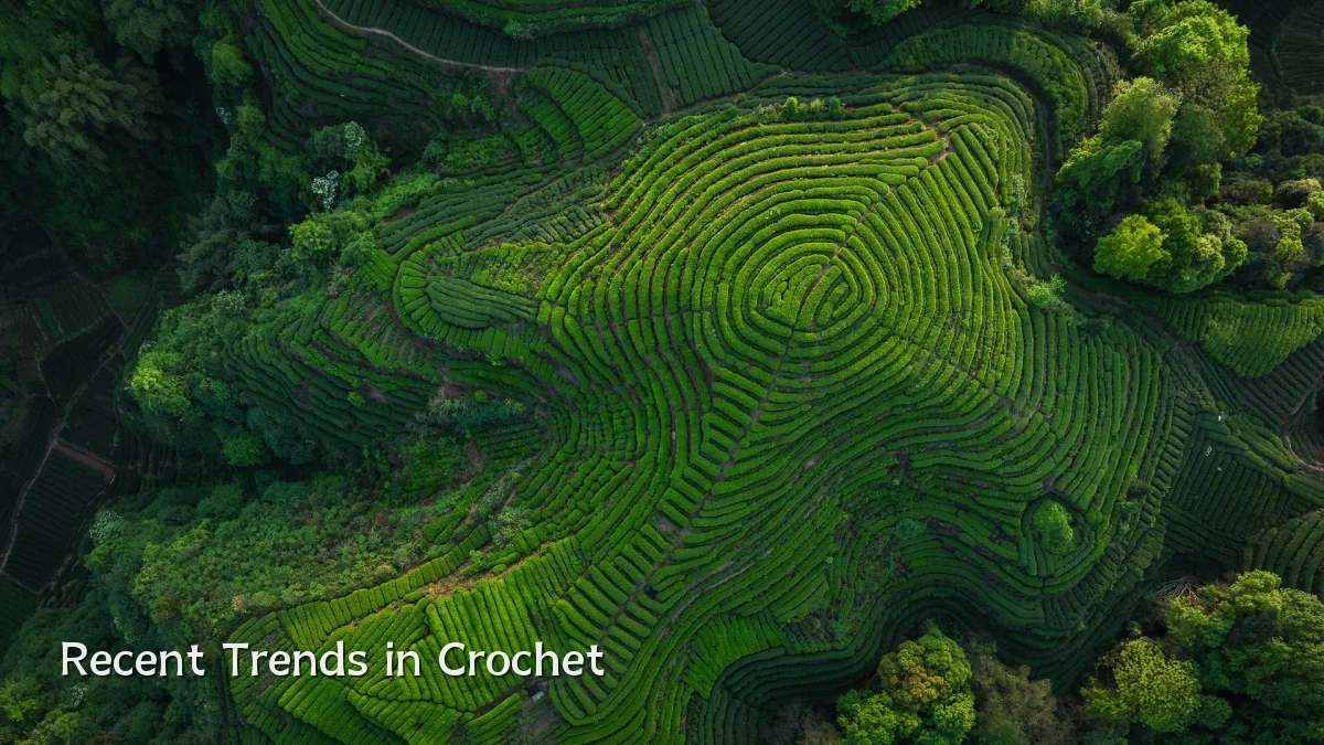 Recent Trends in Crochet
