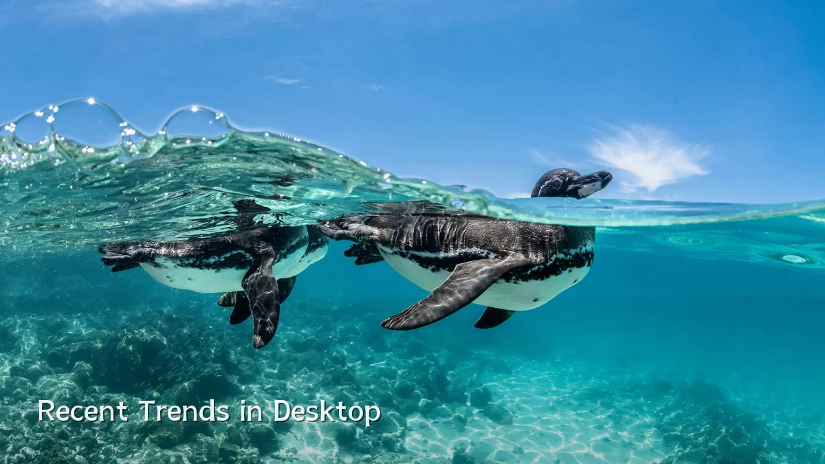 Recent Trends in Desktop
