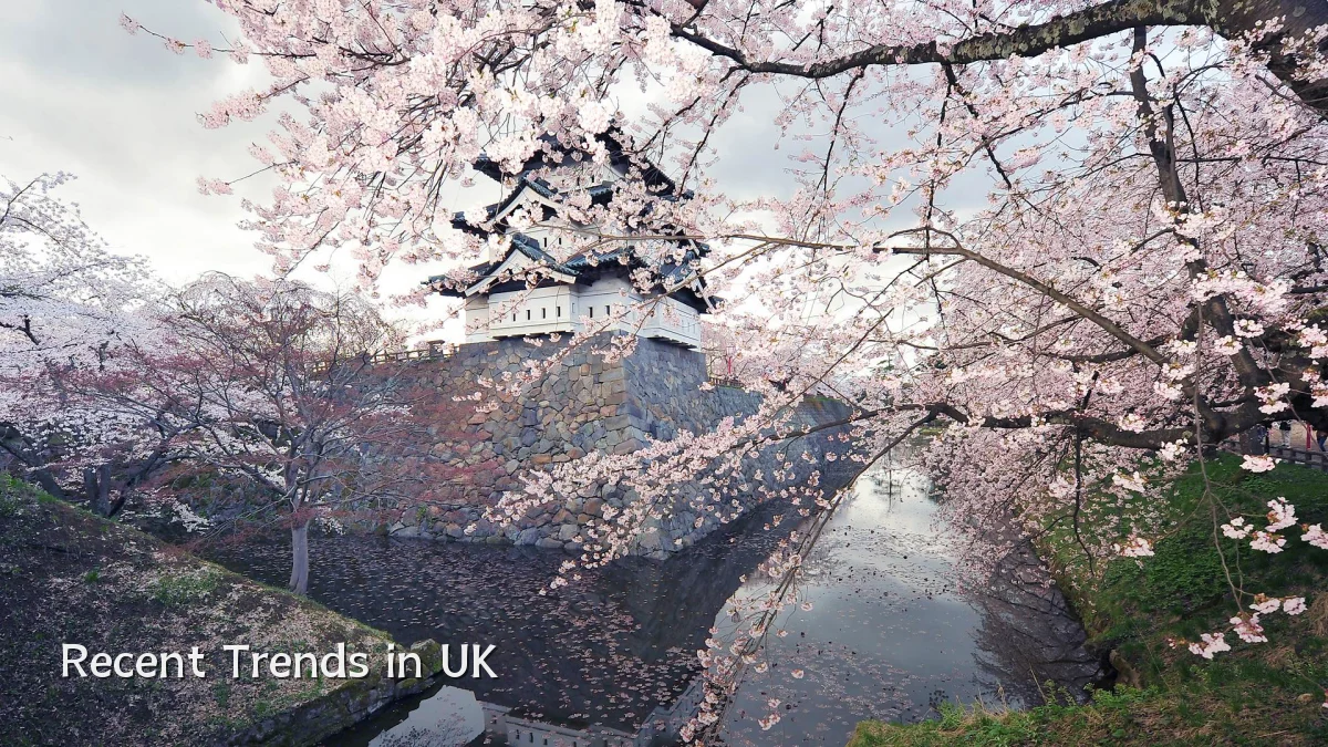 Recent Trends in UK