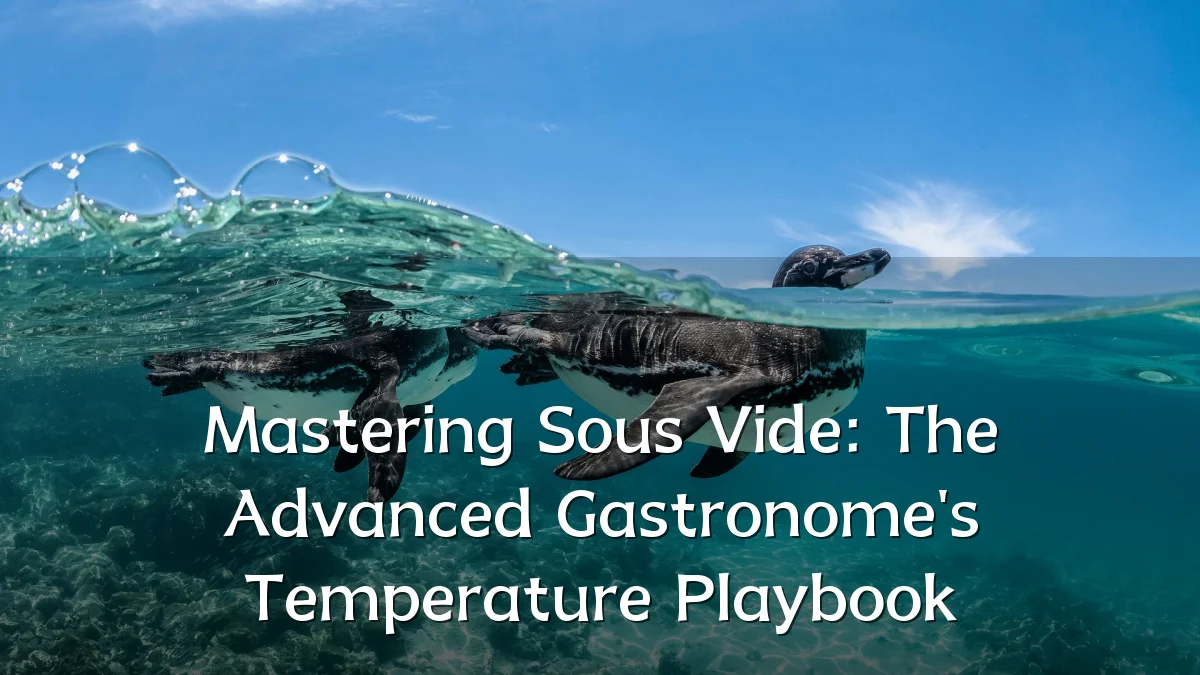 Mastering Sous Vide: The Advanced Gastronome's Temperature Playbook