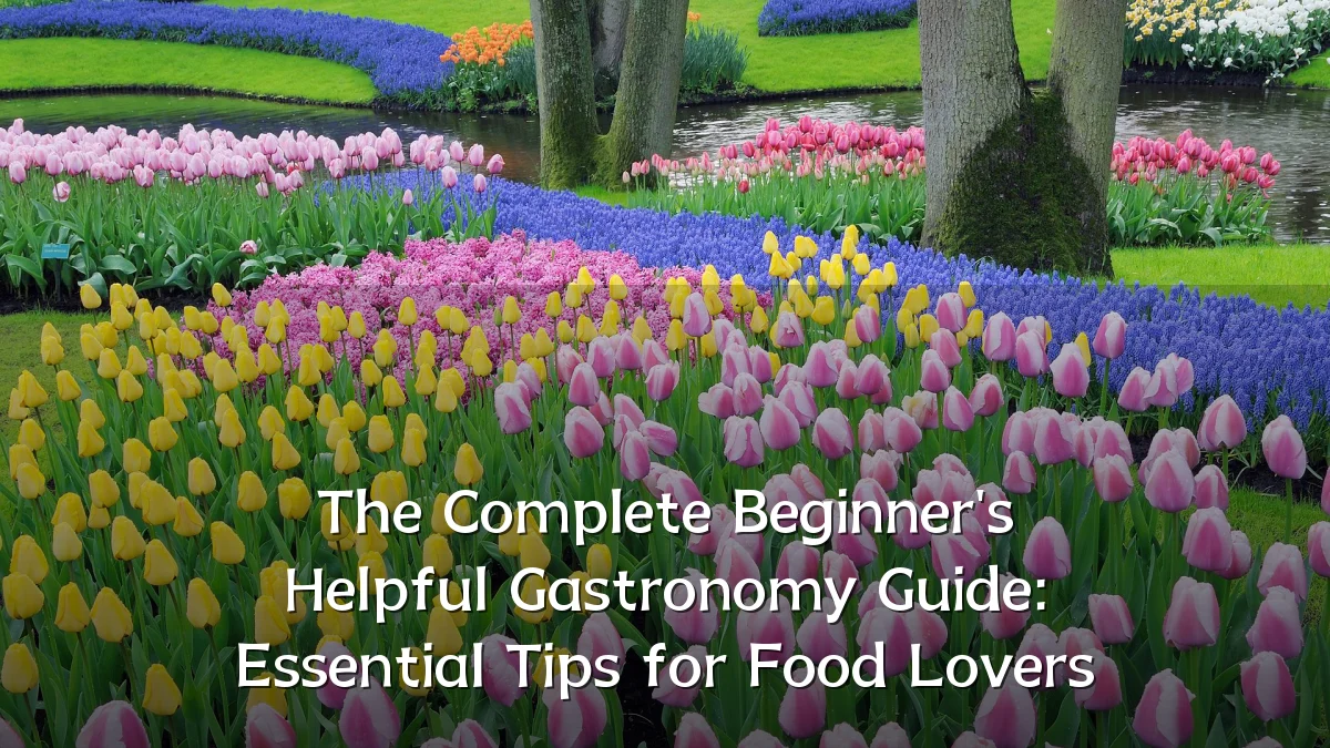 The Complete Beginner's Helpful Gastronomy Guide: Essential Tips for Food Lovers