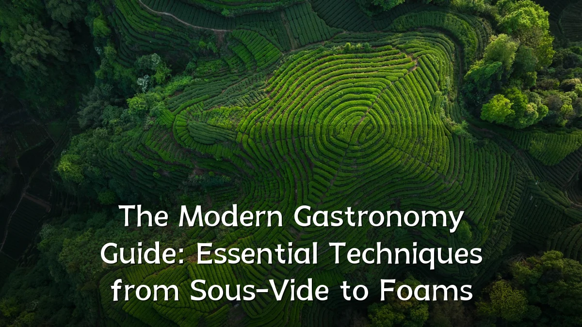 The Modern Gastronomy Guide: Essential Techniques from Sous-Vide to Foams