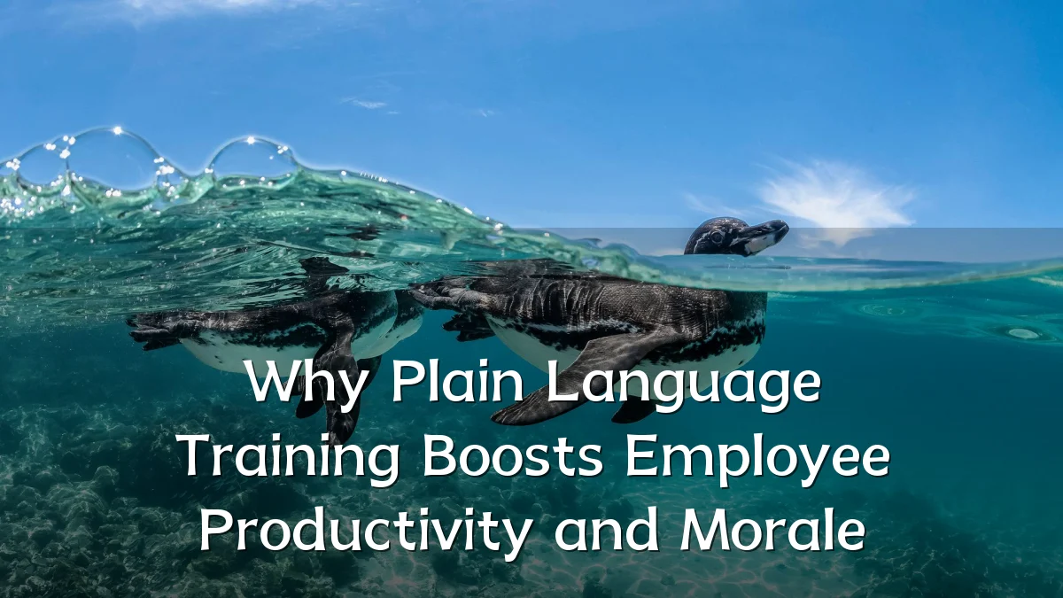 Why Plain Language Training Boosts Employee Productivity and Morale