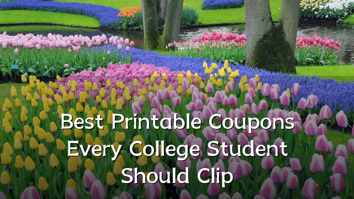 Best Printable Coupons Every College Student Should Clip