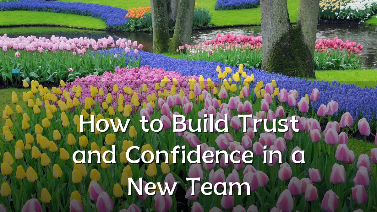 How to Build Trust and Confidence in a New Team