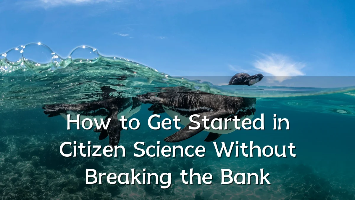 How to Get Started in Citizen Science Without Breaking the Bank