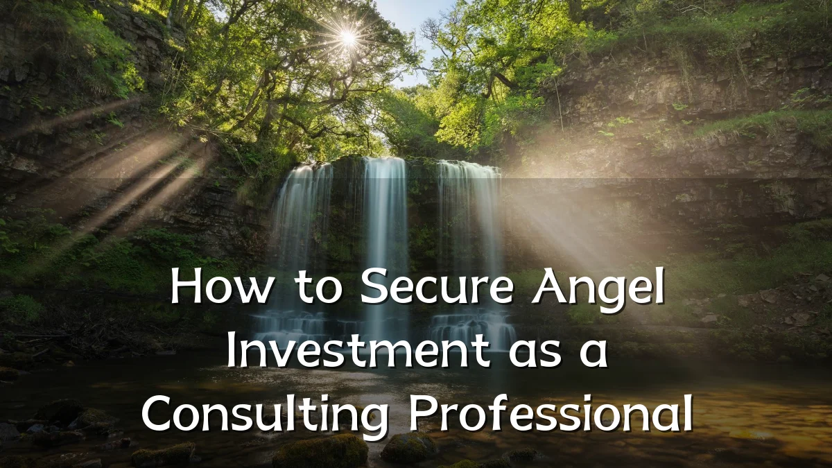 How to Secure Angel Investment as a Consulting Professional
