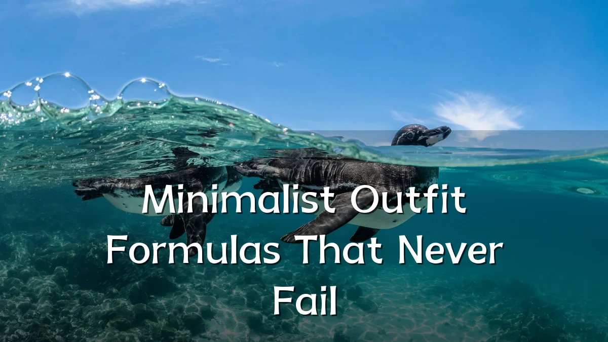 Minimalist Outfit Formulas That Never Fail