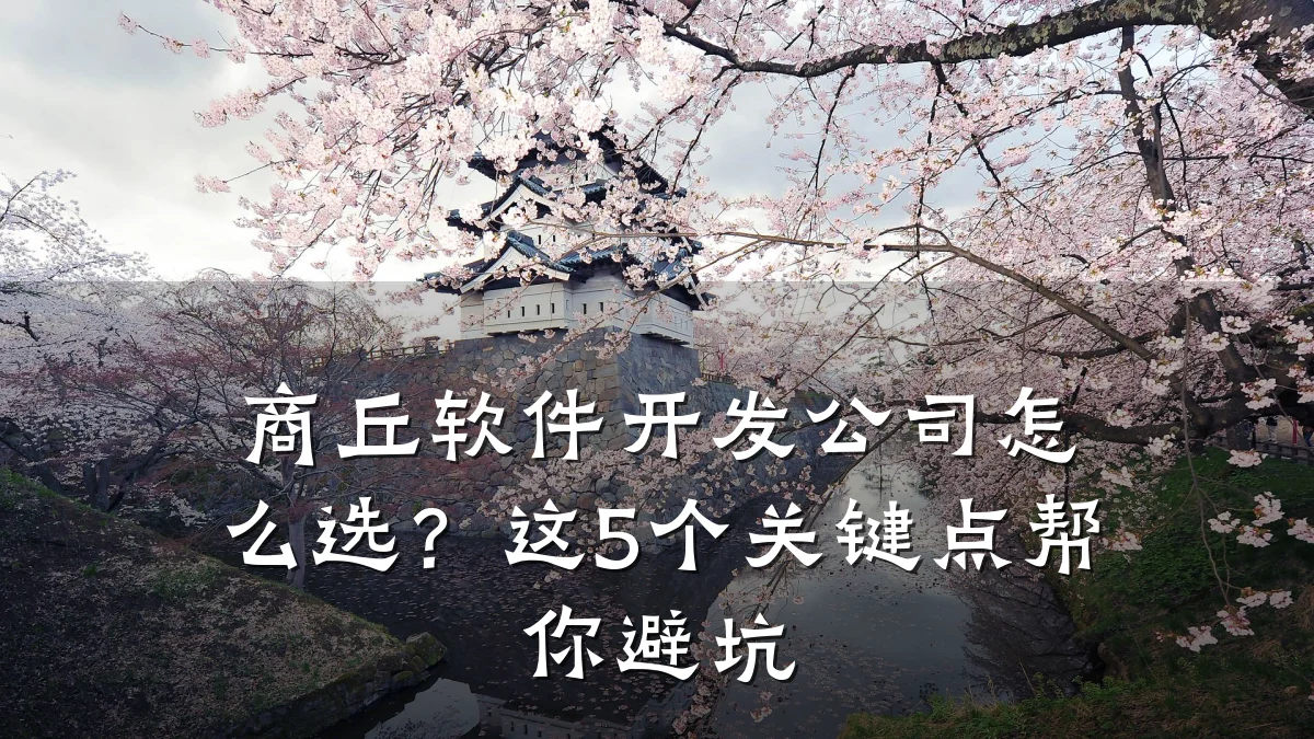 商丘软件开发公司怎么选？这5个关键点帮你避坑