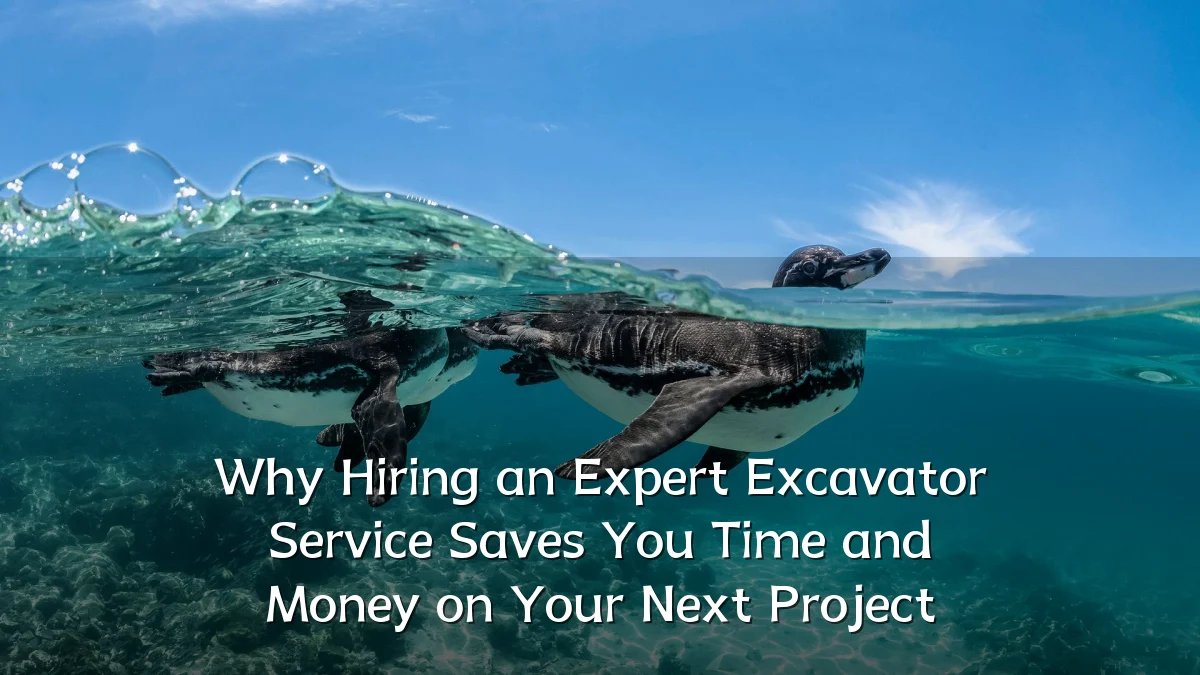 Why Hiring an Expert Excavator Service Saves You Time and Money on Your Next Project