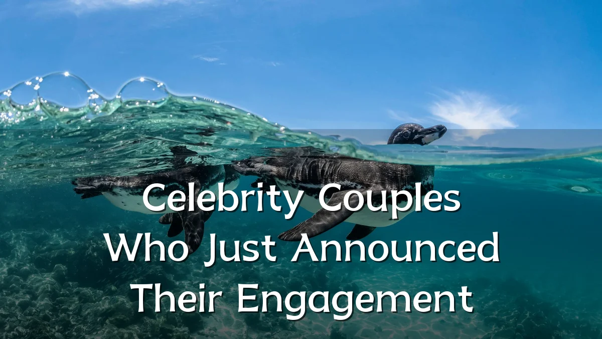 Celebrity Couples Who Just Announced Their Engagement
