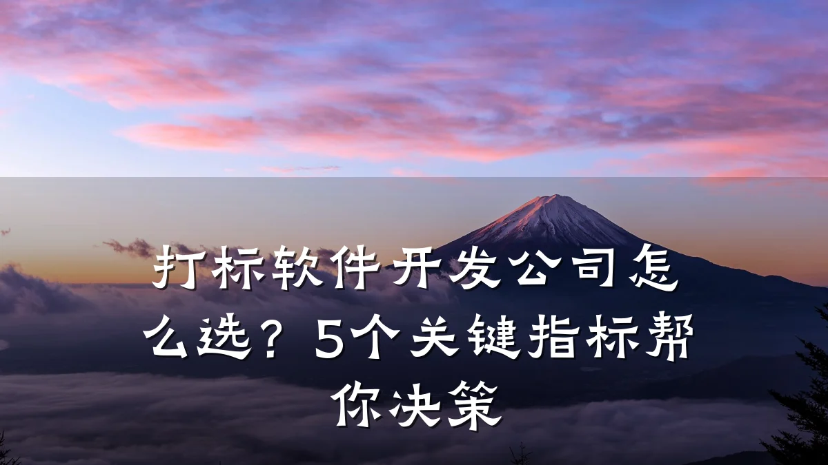 打标软件开发公司怎么选?5个关键指标帮你决策
