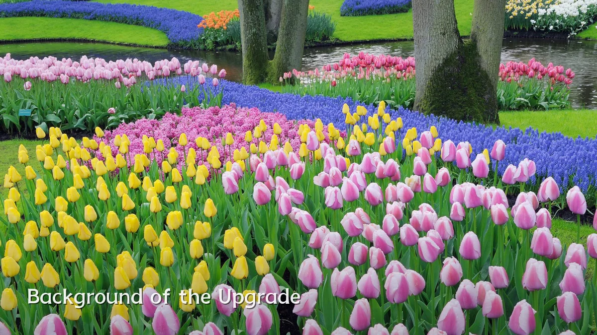 Background of the Upgrade