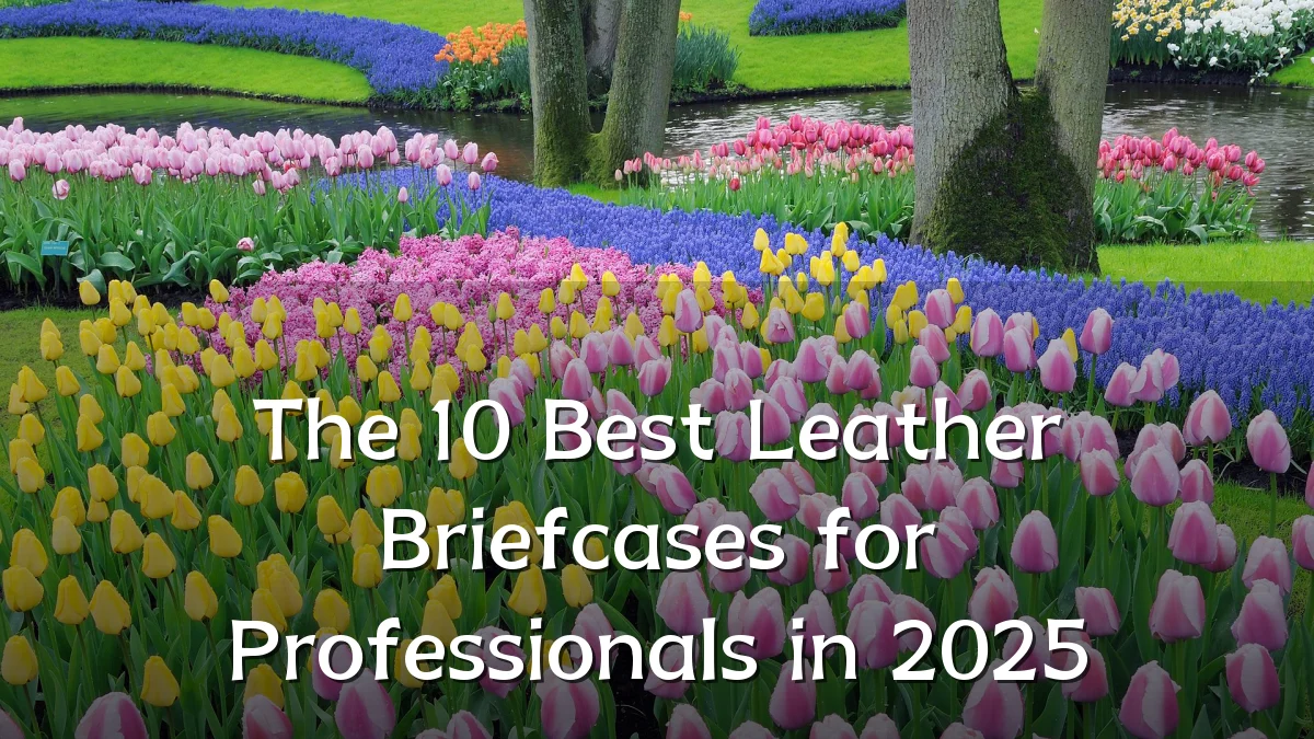 The 10 Best Leather Briefcases for Professionals in 2025