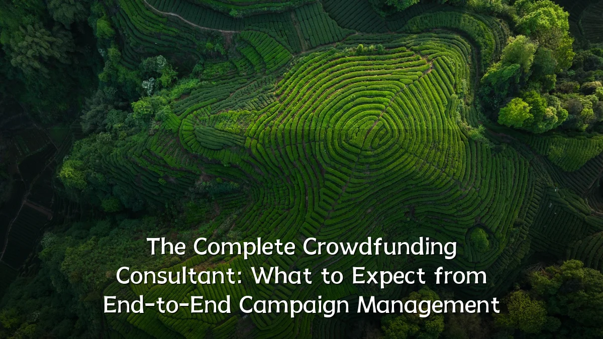 The Complete Crowdfunding Consultant: What to Expect from End-to-End Campaign Management