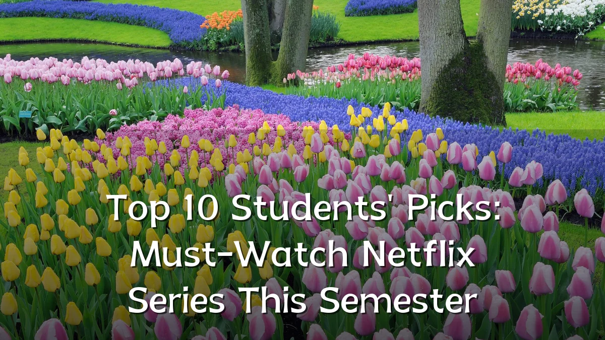 Top 10 Students' Picks: Must-Watch Netflix Series This Semester